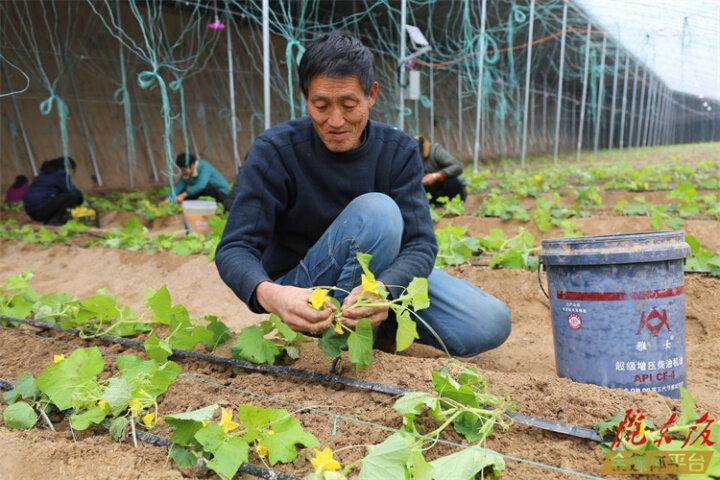 【三抓三促進行時】合水縣板橋鎮(zhèn)：以“三抓三促”賦能村集體經濟發(fā)展