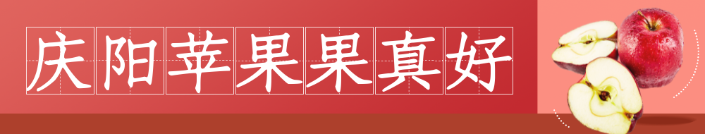 慶陽(yáng)蘋(píng)果果真好