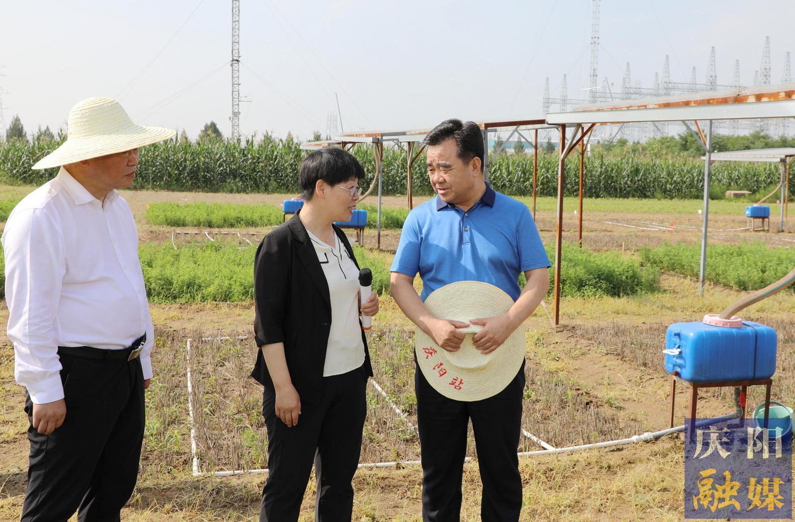 黃澤元在蘭州大學(xué)慶陽草地農(nóng)業(yè)試驗站和市農(nóng)科院調(diào)研時強調(diào) 切實提升科技成果轉(zhuǎn)化率促進農(nóng)民增收 加快發(fā)展農(nóng)業(yè)新質(zhì)生產(chǎn)力推動農(nóng)業(yè)增效